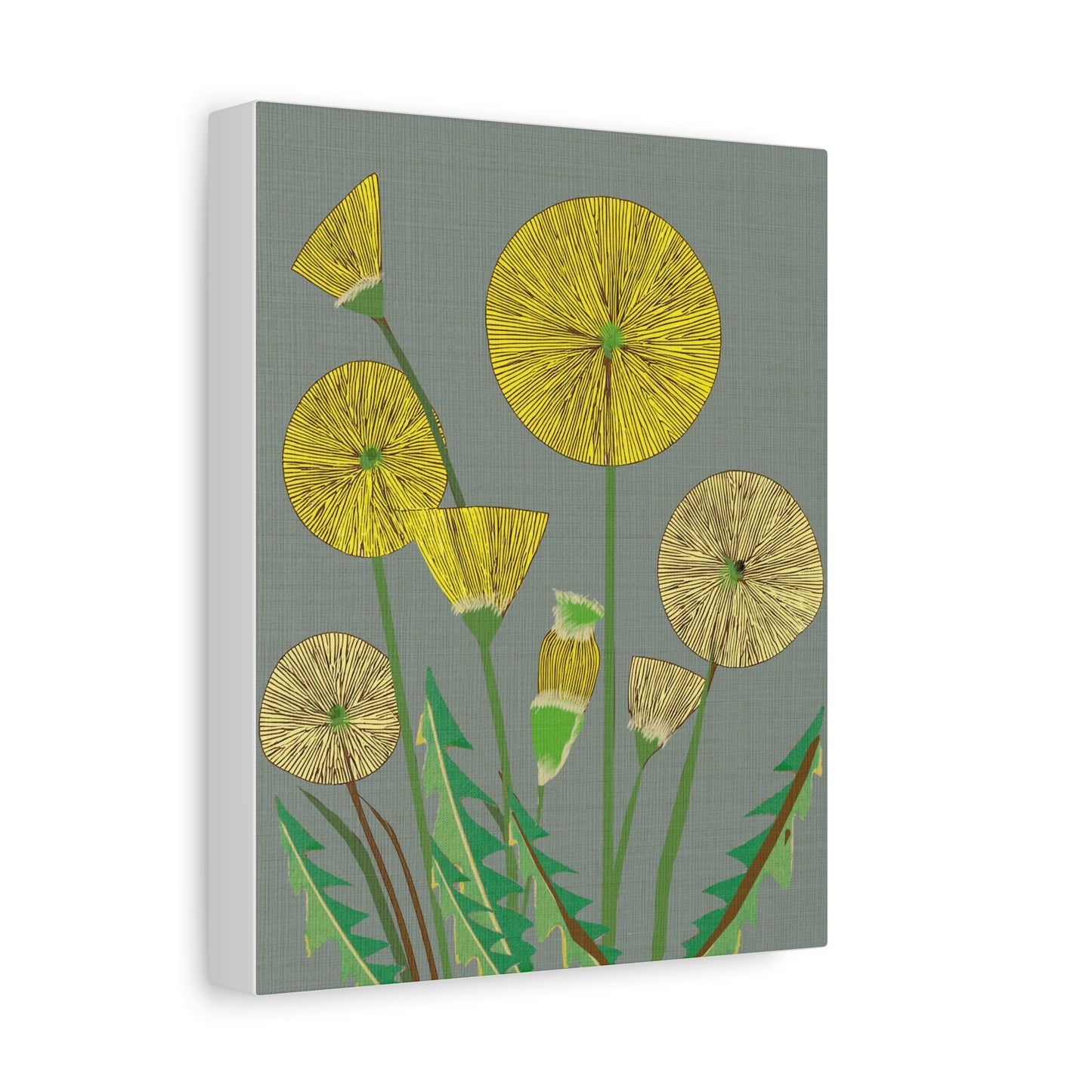 Midwest Modern Summer Dandelion Art Print Number Two - Matte Canvas, Stretched, 1.25"