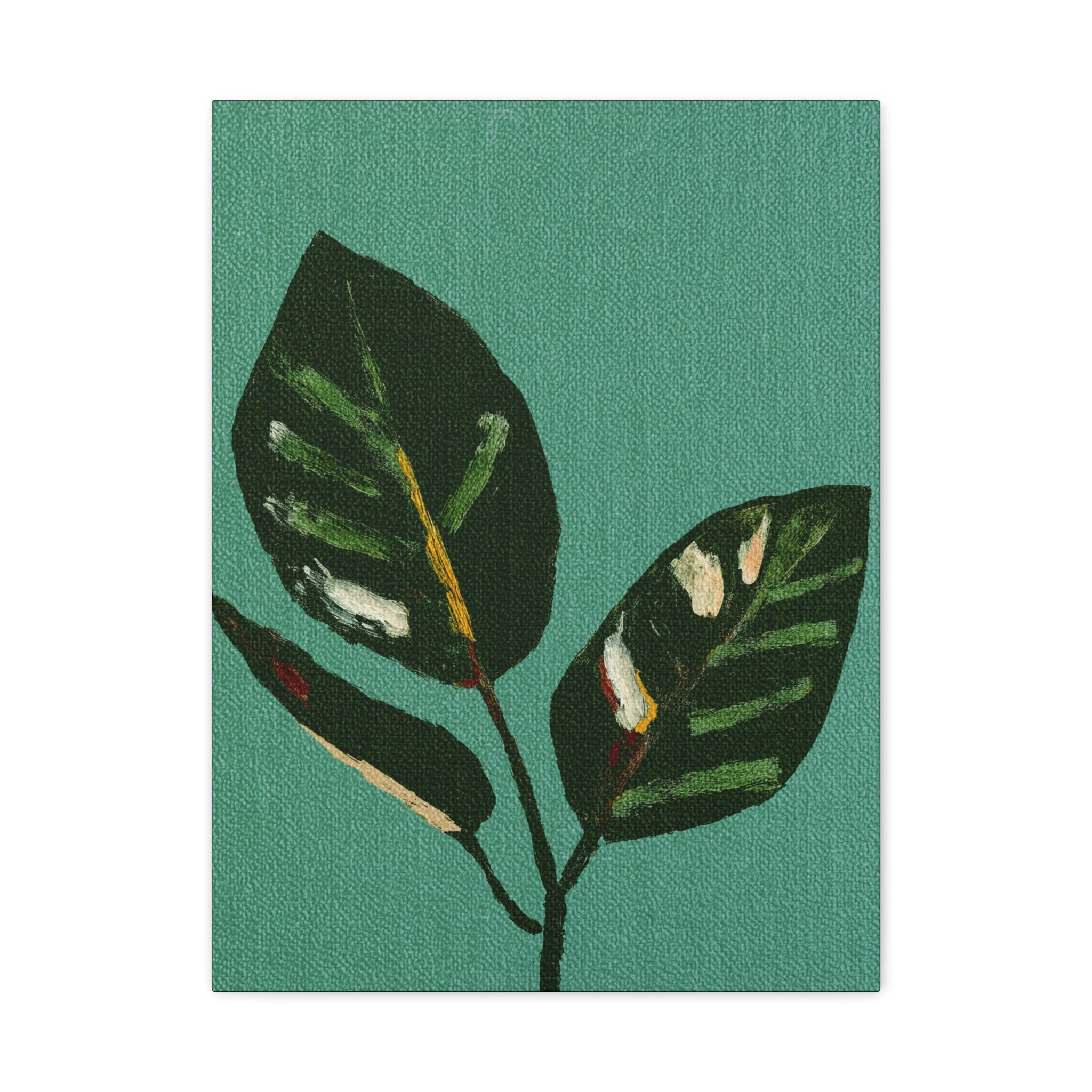 Midwest Mod Modern Houseplant Plant Art Print No. 300 - Matte Canvas, Stretched, 1.25"