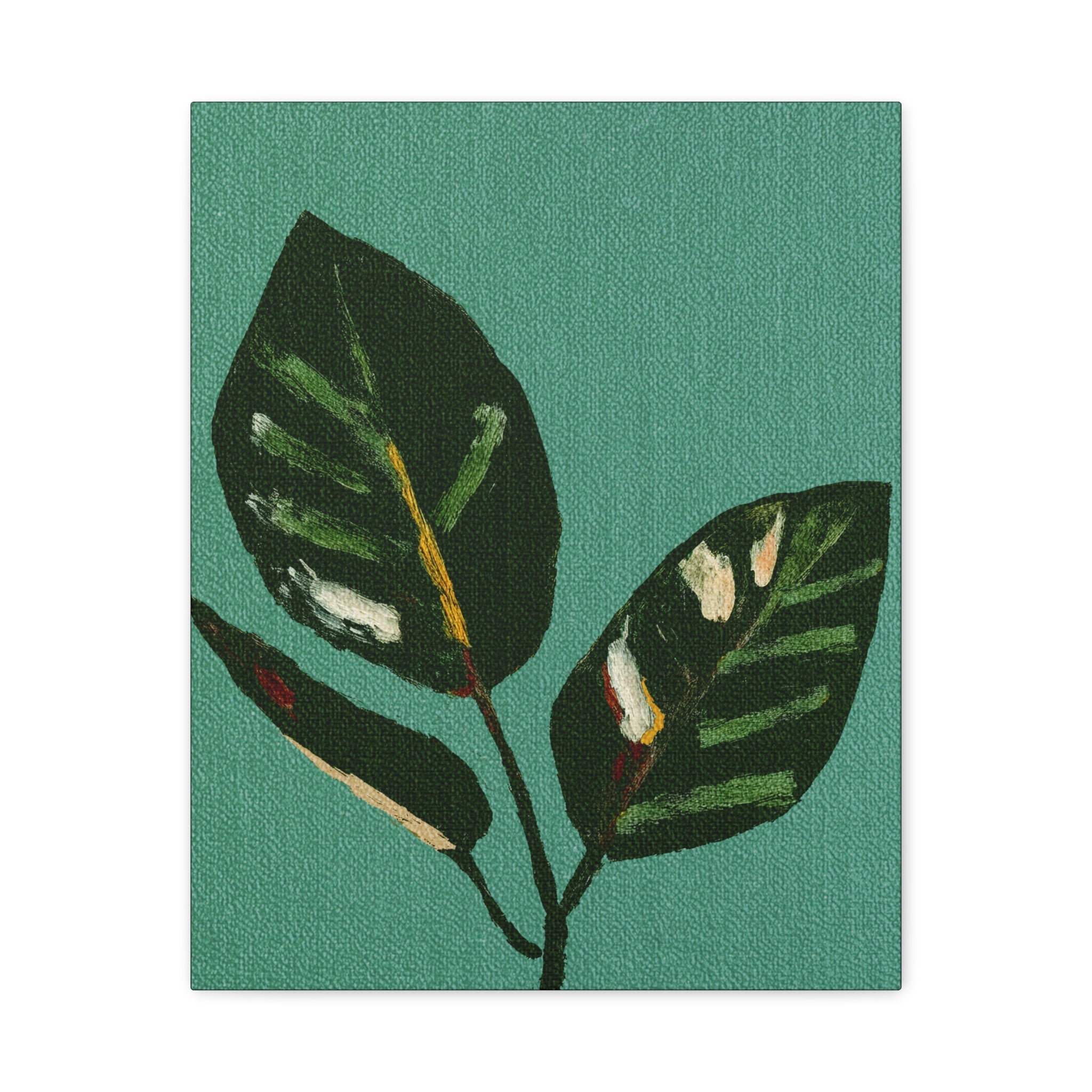 Midwest Mod Modern Houseplant Plant Art Print No. 300 - Matte Canvas, Stretched, 1.25"