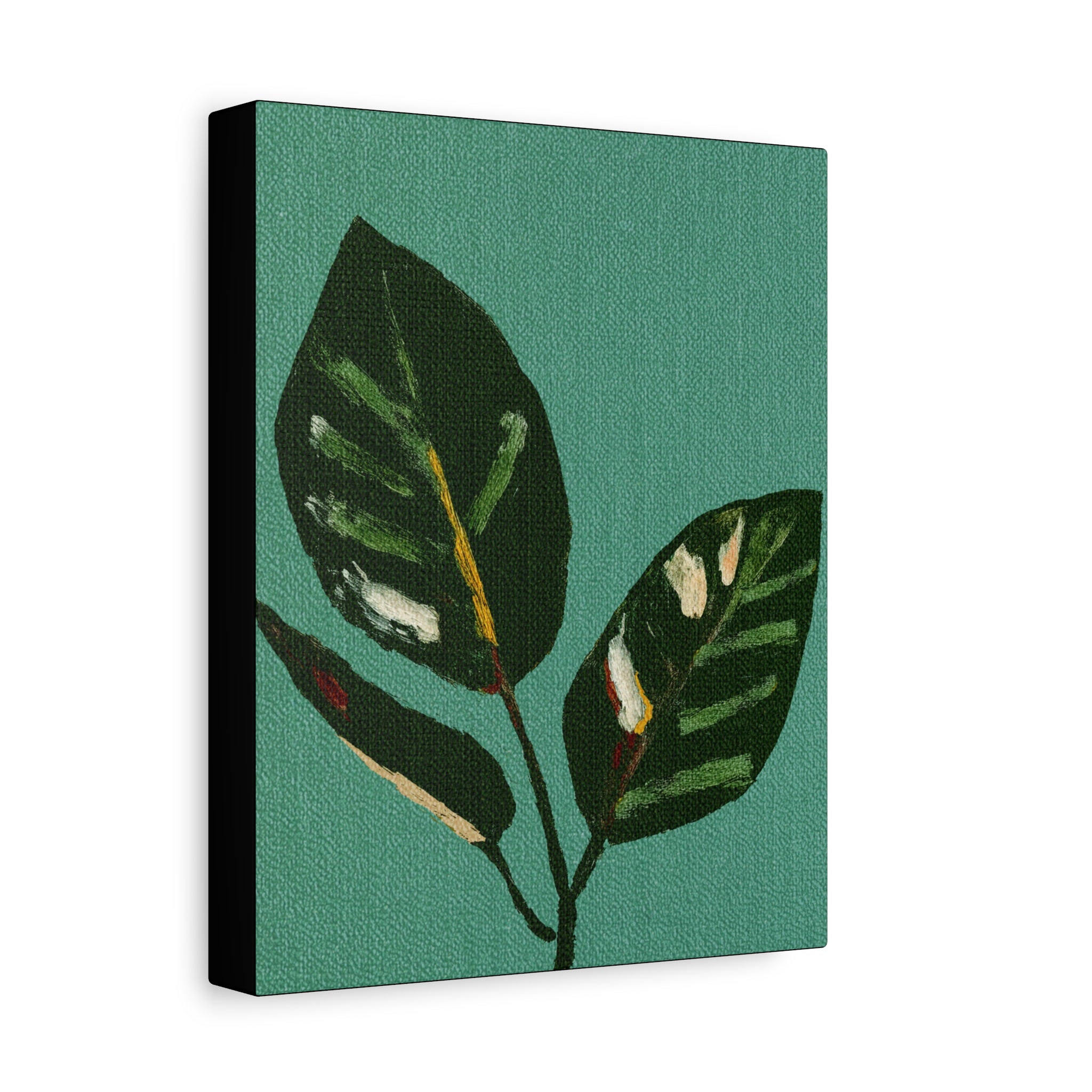 Midwest Mod Modern Houseplant Plant Art Print No. 300 - Matte Canvas, Stretched, 1.25"