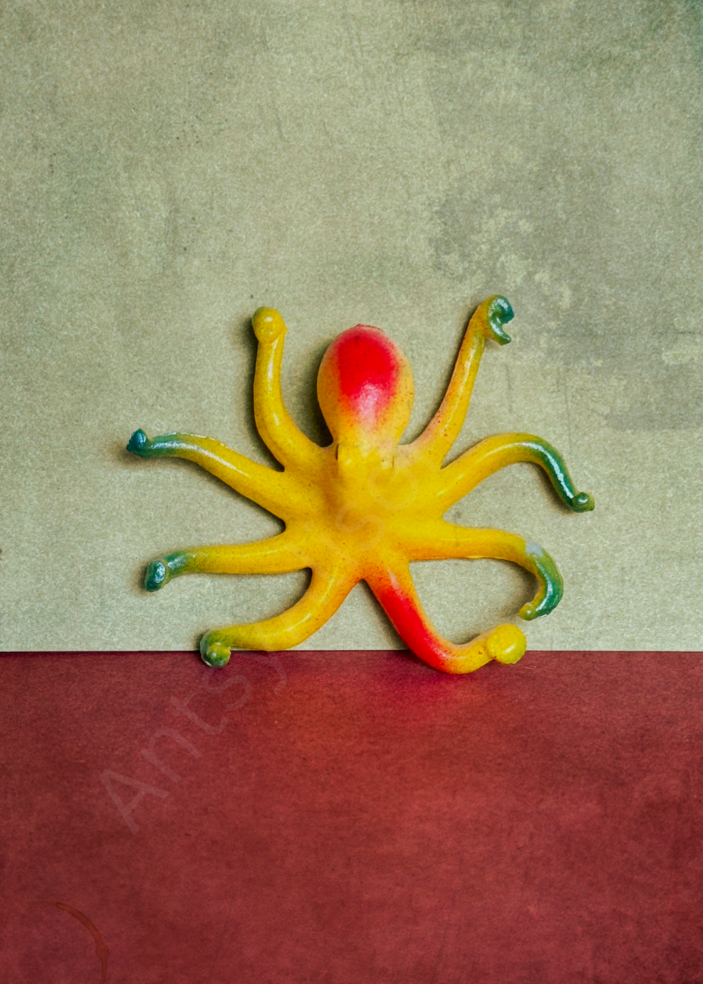 Miniature Octopus Digital Download Art Print