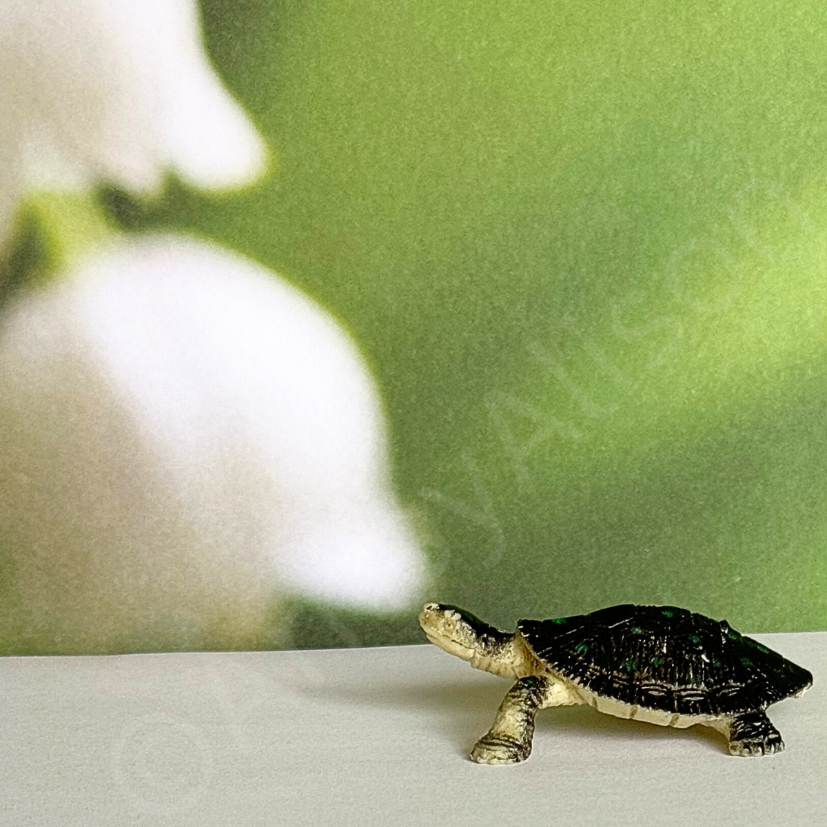 Miniature Turtle Portrait Digital Download Art Print