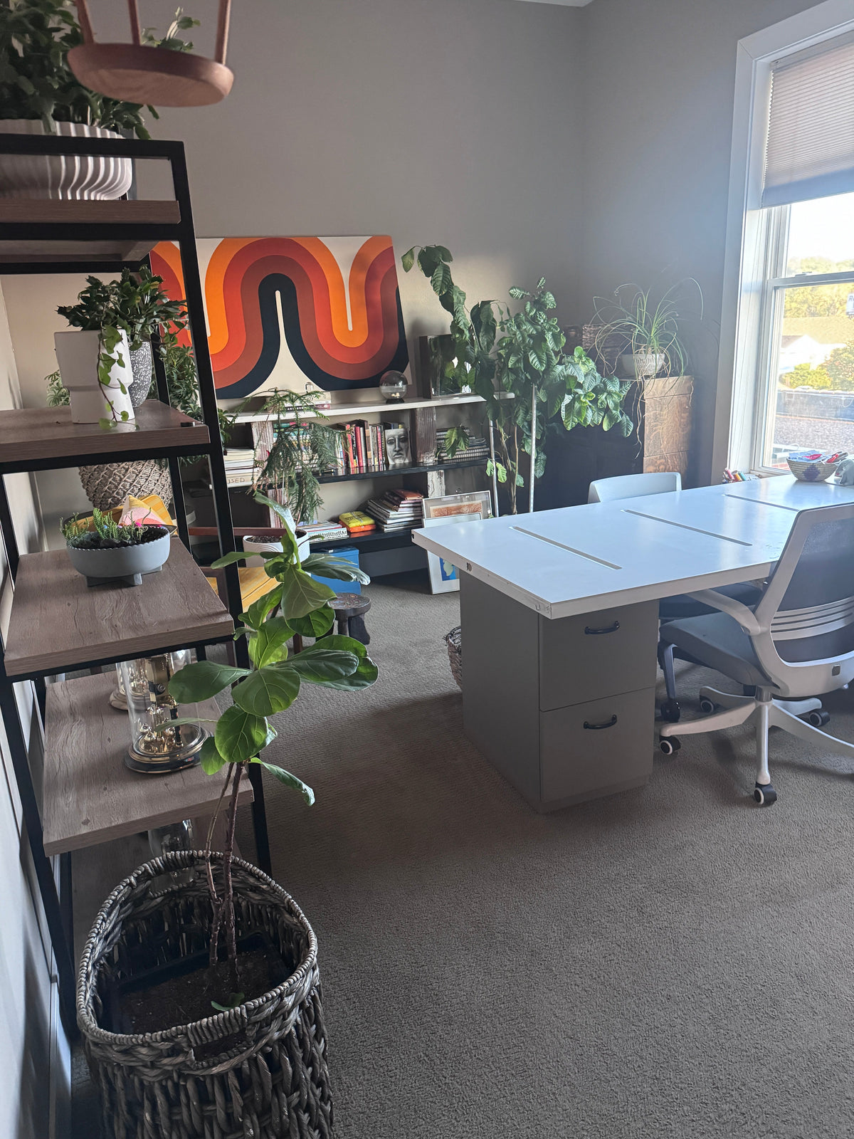 New Space, New View