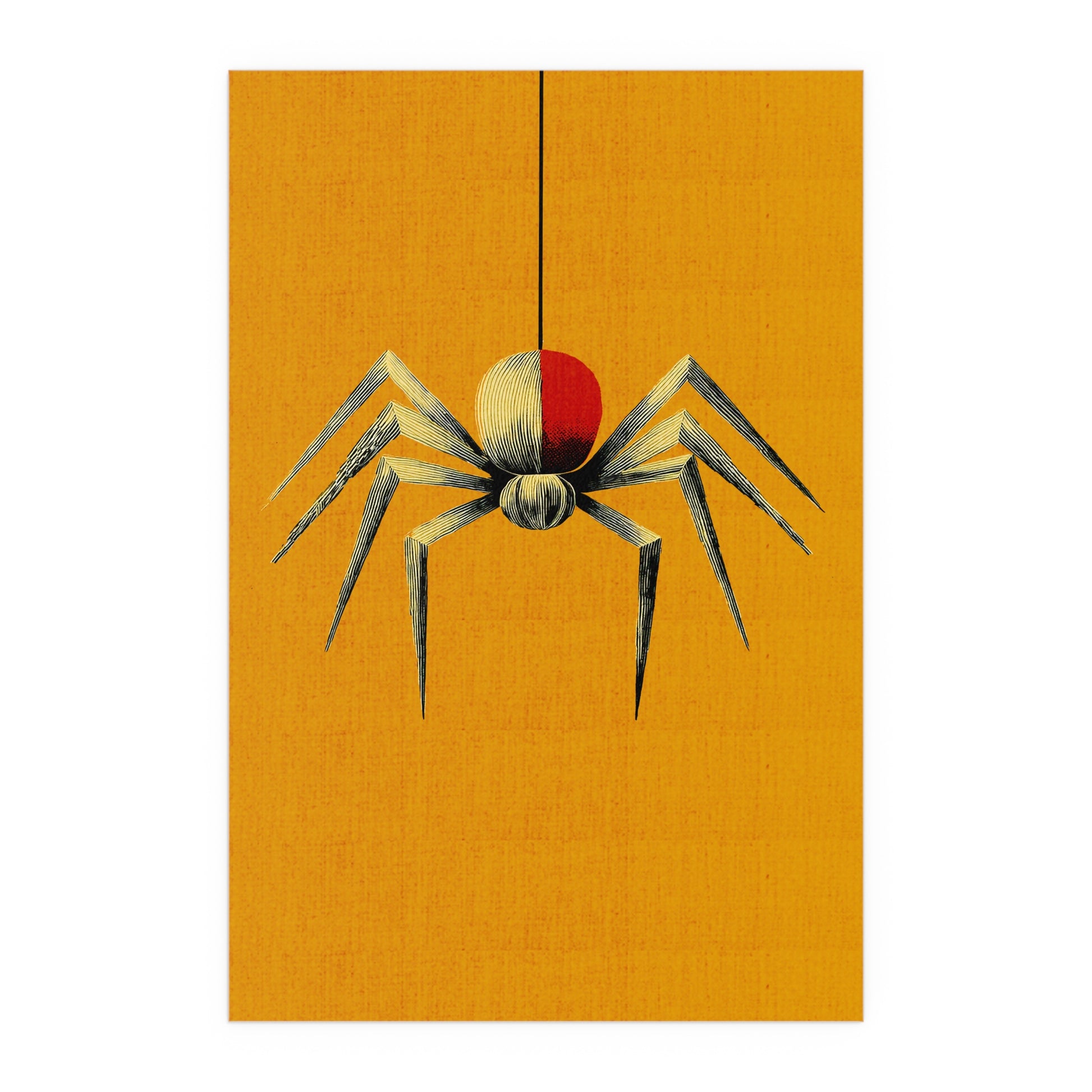 Midwest Mod Spinning Spider Seasonal Silk Poster, Indoor and Outdoor Decor, Seasonal Decor, Halloween, Spiders, Arachnids