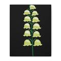 Midwest Modern Abstract Lily of the Valley Floral Print - Matte Canvas, Stretched, 1.25" - Floral, lily