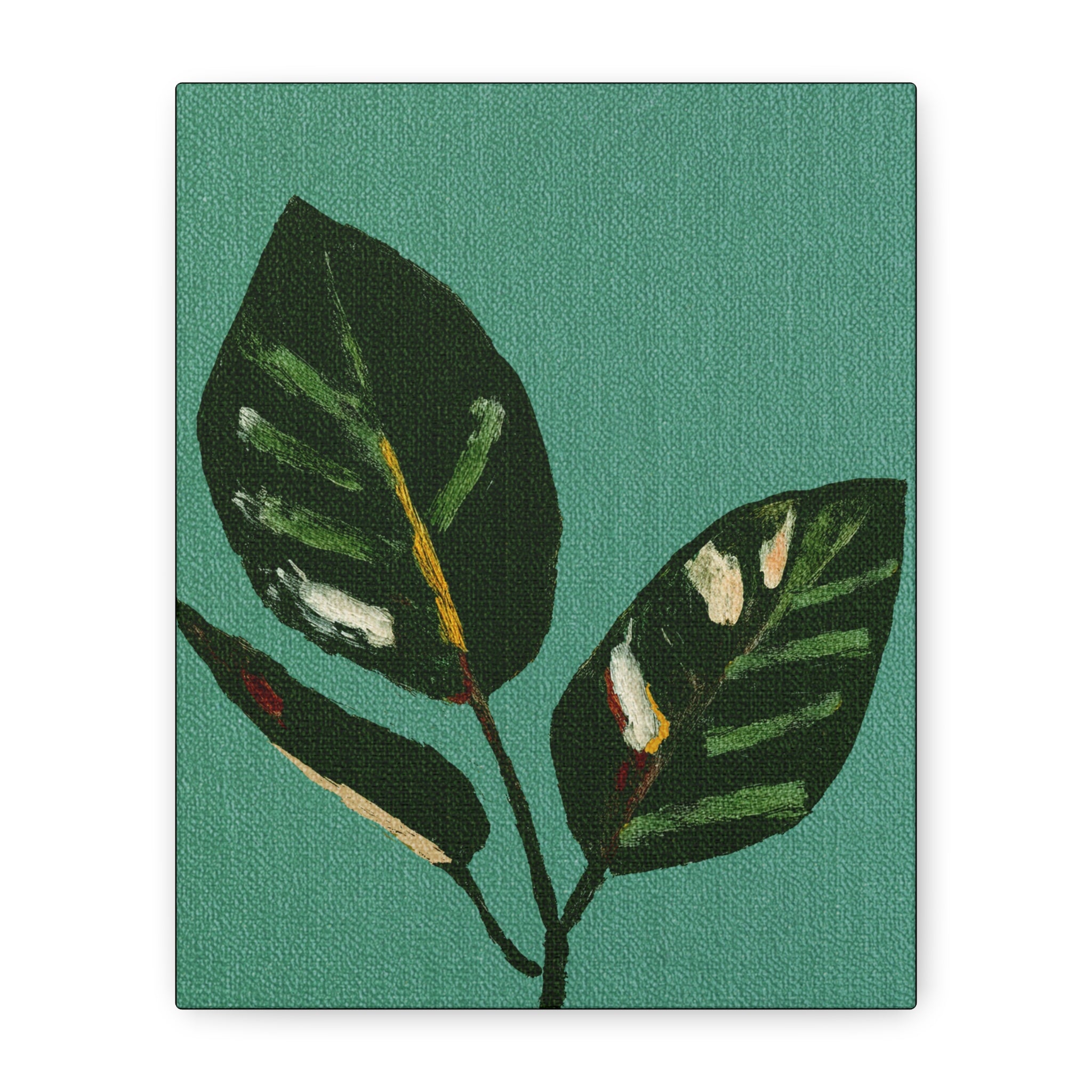 Midwest Mod Modern Houseplant Plant Art Print No. 300 - Matte Canvas, Stretched, 1.25"