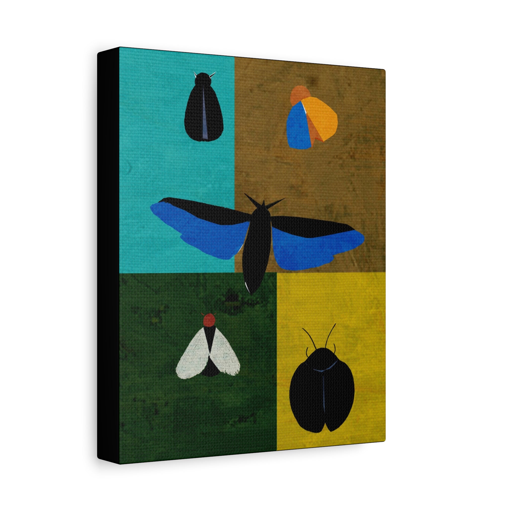 Midwest Modern Insects Grid Print - Matte Canvas, Stretched, 1.25" - insects, moths, bugs, modern, abstract