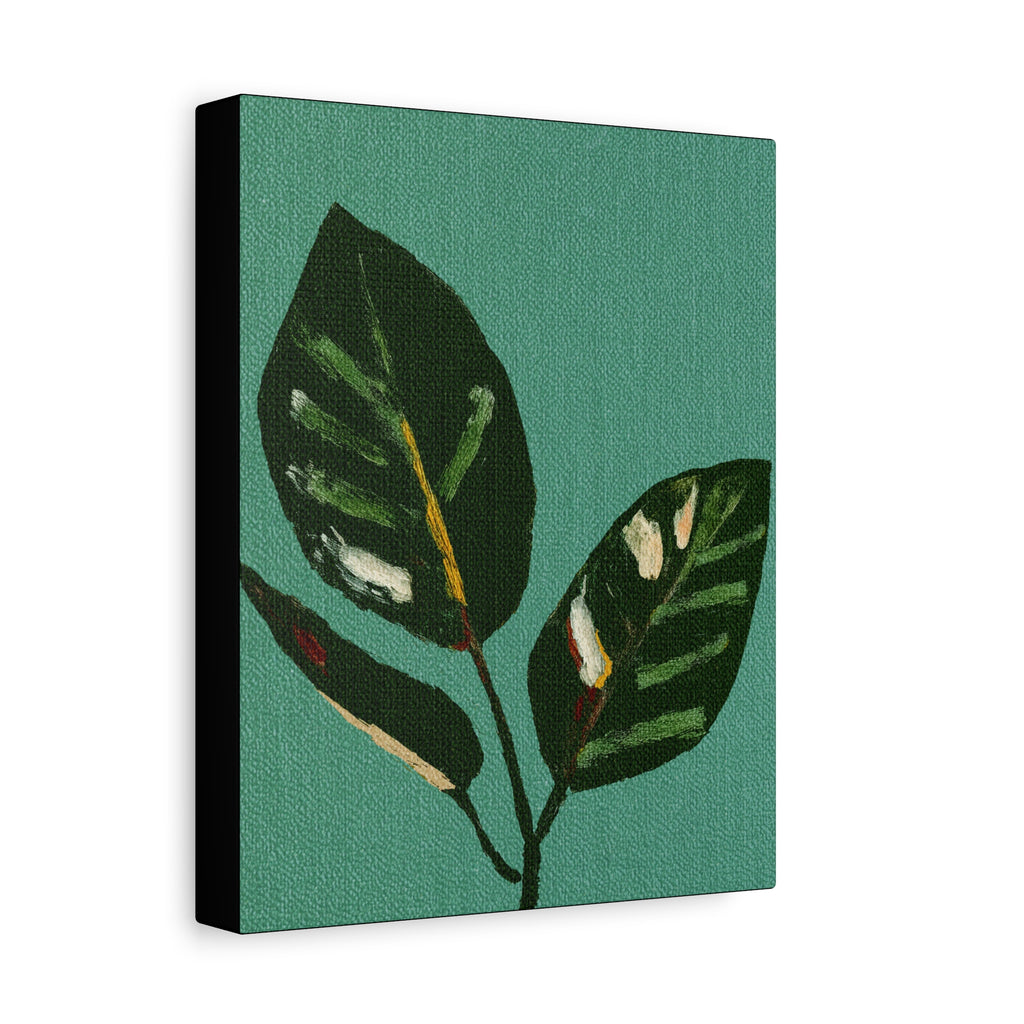 Midwest Mod Modern Houseplant Plant Art Print No. 300 - Matte Canvas, Stretched, 1.25"