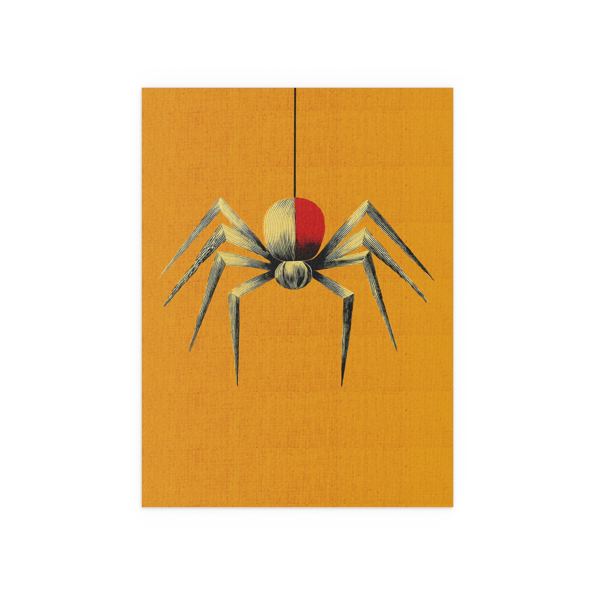 Midwest Mod Spinning Spider Seasonal Silk Poster, Indoor and Outdoor Decor, Seasonal Decor, Halloween, Spiders, Arachnids