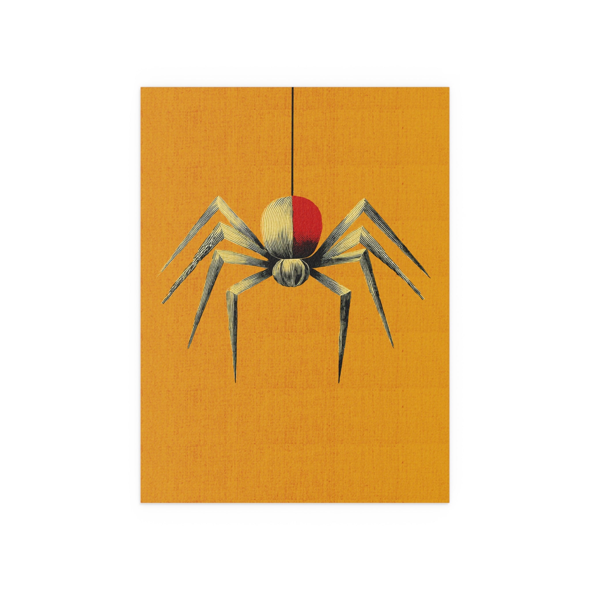 Midwest Mod Spinning Spider Seasonal Silk Poster, Indoor and Outdoor Decor, Seasonal Decor, Halloween, Spiders, Arachnids