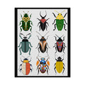 Midwest Mod Beetle Display, Rolled Poster -  insects, bugs, beetles, wall decor, spring, summer,