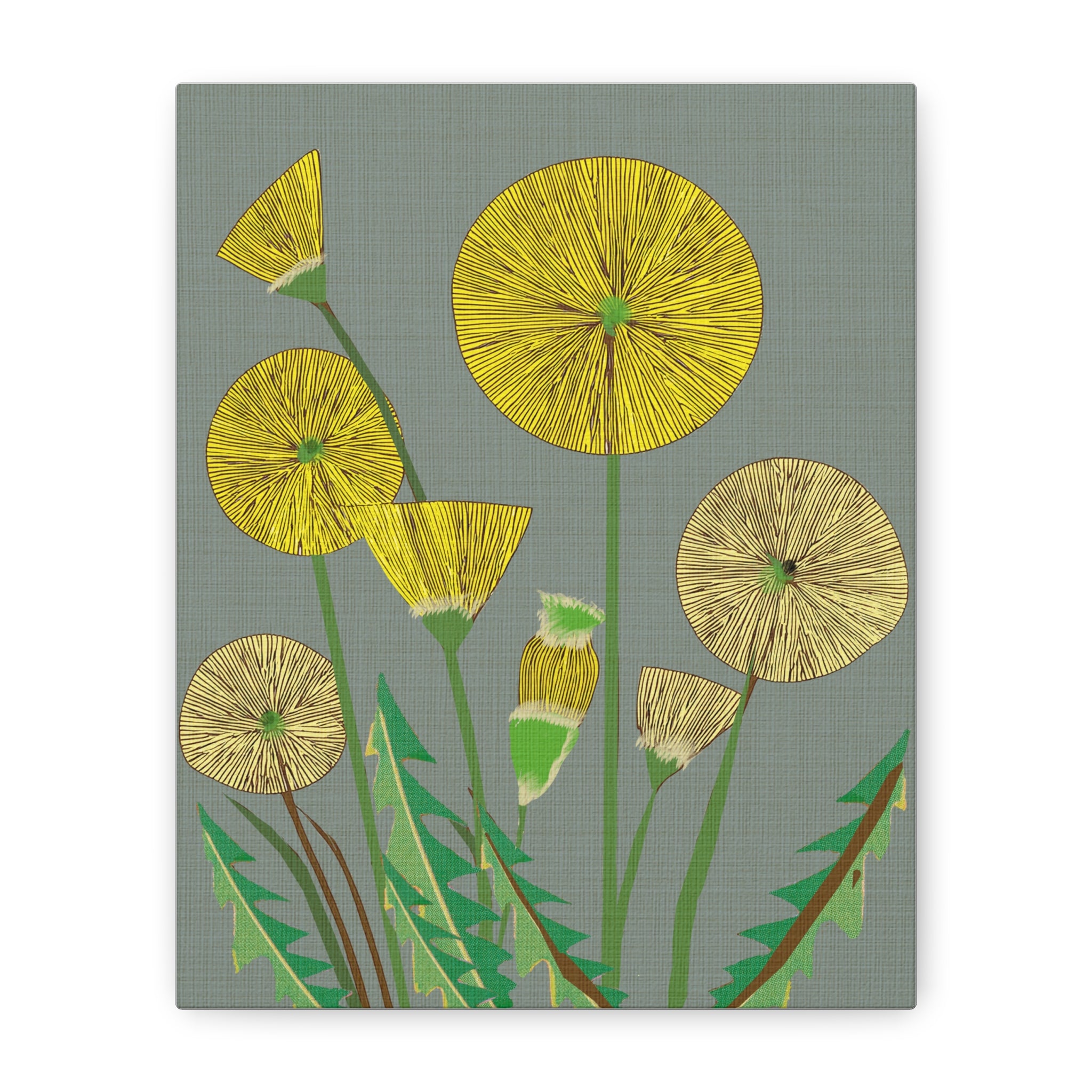 Midwest Modern Summer Dandelion Art Print Number Two - Matte Canvas, Stretched, 1.25"