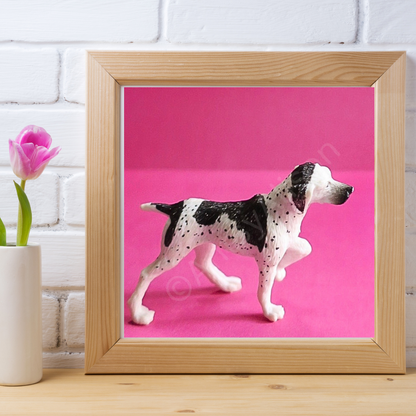 Miniature Black and White Pointer Dog Portrait Digital Download Art Print