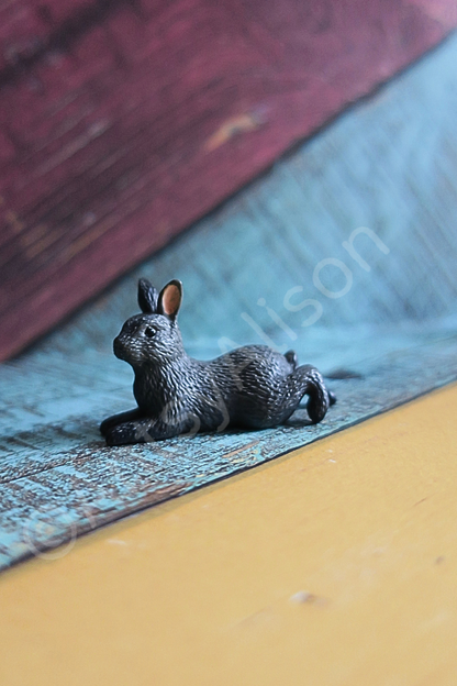 Miniature Black Bunny Rabbit Digital Download Art Print