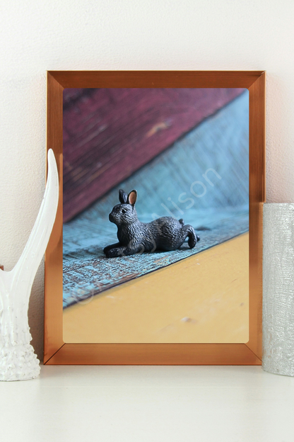 Miniature Black Bunny Rabbit Digital Download Art Print