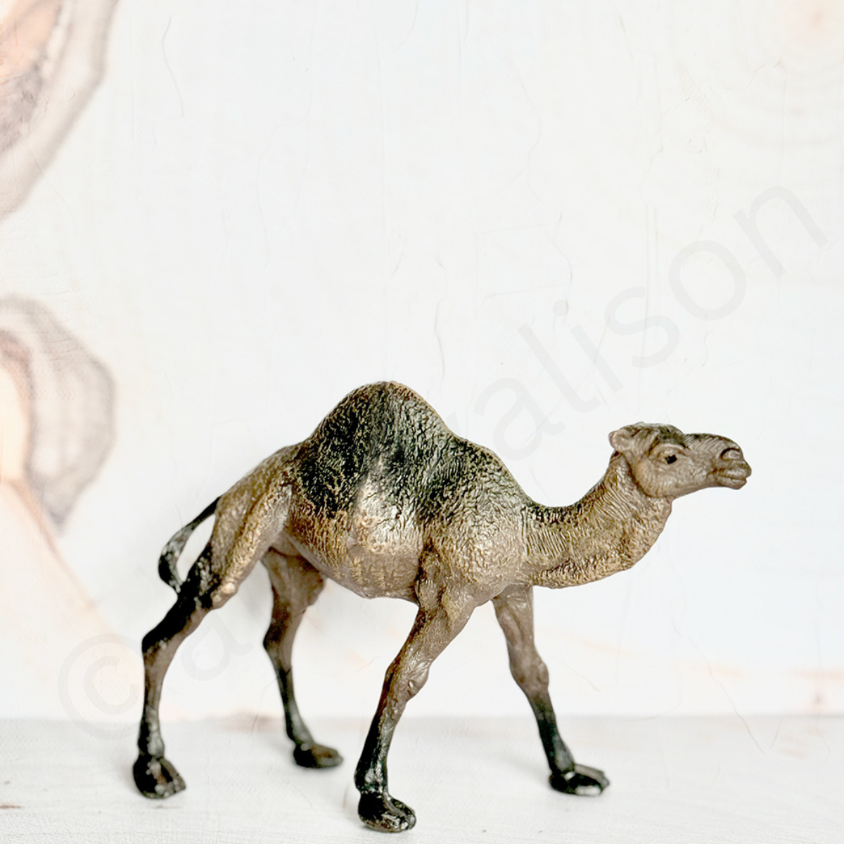 Miniature Camel Portrait Digital Download Art Print