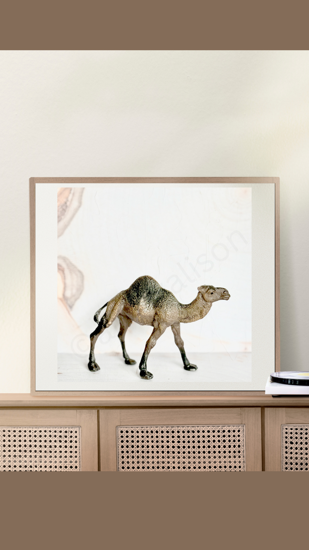 Miniature Camel Portrait Digital Download Art Print