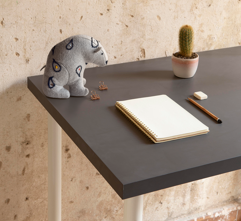 Office Sidekick Paisley - A Co-worker You Can Enjoy Working With