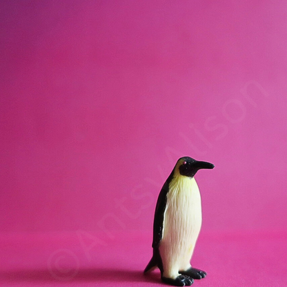 Miniature Penguin Portrait Digital Download Art Print