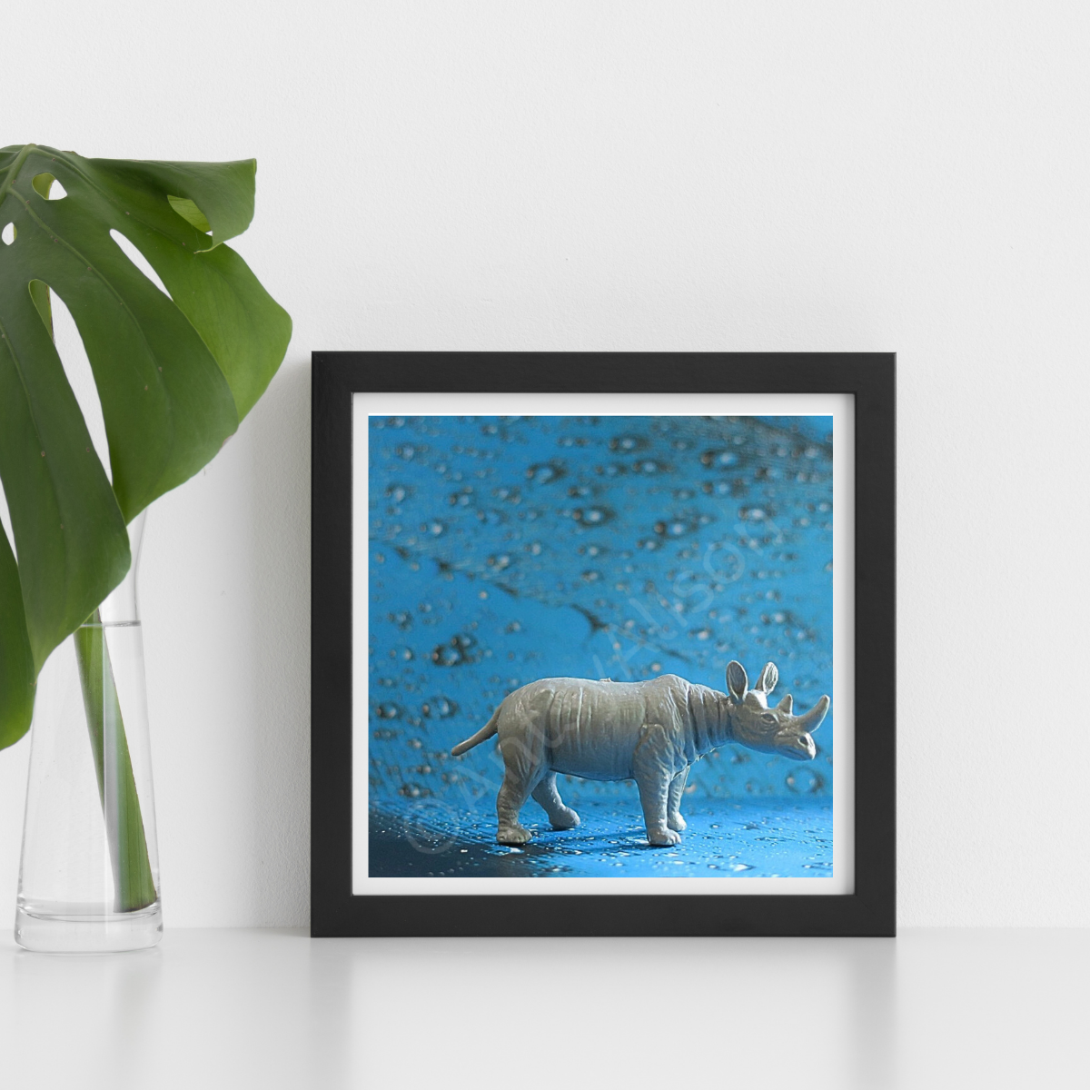 Miniature Rhinoceros Portrait Digital Download Art Print