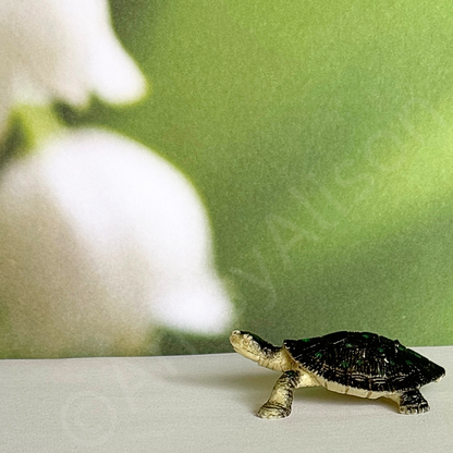 Miniature Turtle Portrait Digital Download Art Print